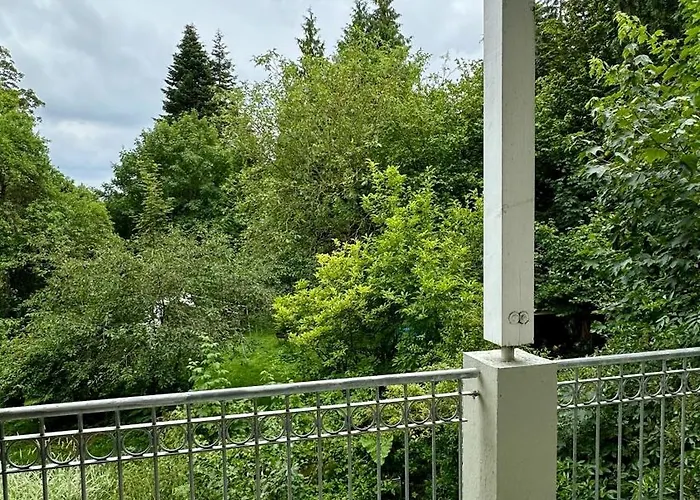 Apartman Frauenapartment Schoenes Mit Balkon Am Bergpark Wilhelmshoehe Kassel